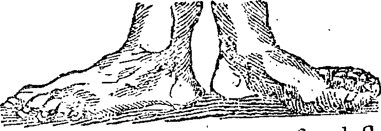 101/101590010000900_0.png