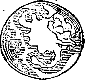 101/101590010000920_1.png