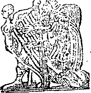 101/101590010000960_1.png