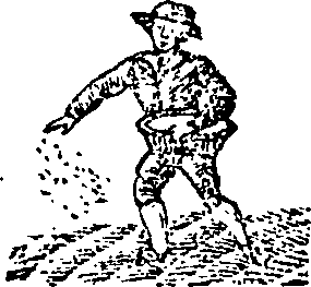 101/101590010001010_1.png