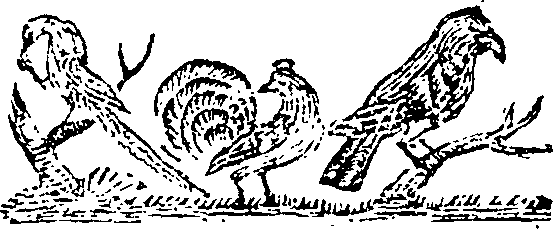 101/101590010001120_1.png