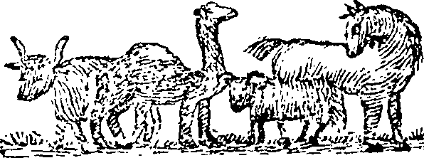 101/101590010001120_2.png