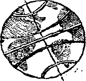101/101590010001140_1.png