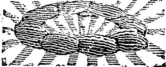 101/101590010001140_2.png
