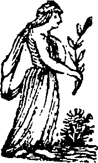 101/101590010001160_1.png