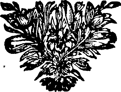 101/101640020001190_0.png