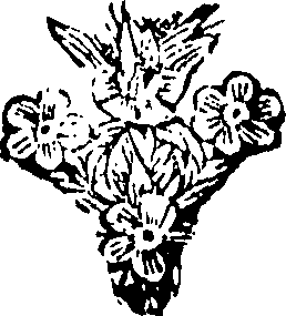 101/101640020002200_0.png