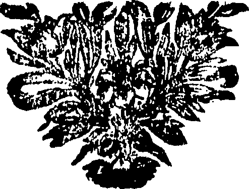 101/101640020003070_0.png