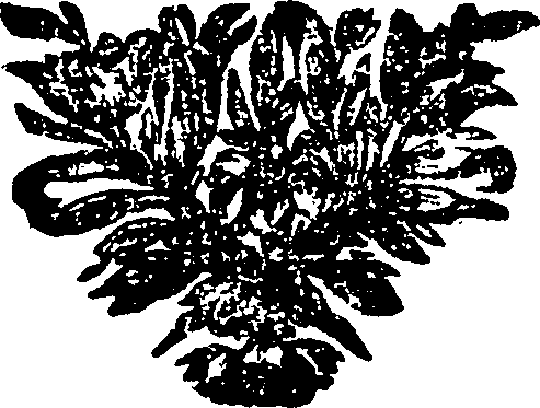 101/101640020003160_0.png