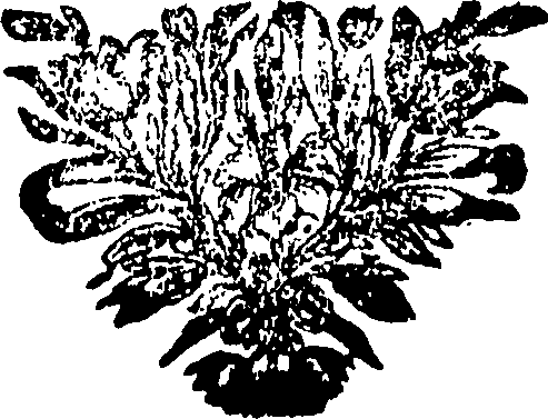 101/101640020003440_0.png