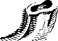 101/101670060105900_0.png