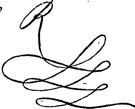 101/101680010300390_0.png