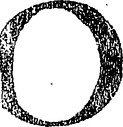 101/101740110000060_1.png