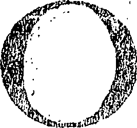 101/101740110000120_1.png