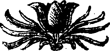101/101770050000070_0.png