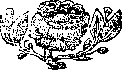 101/101860020003840_0.png
