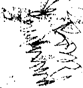 101/101870010000030_0.png