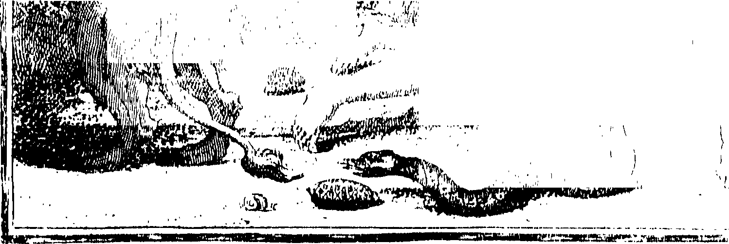 101/101870010000070_0.png