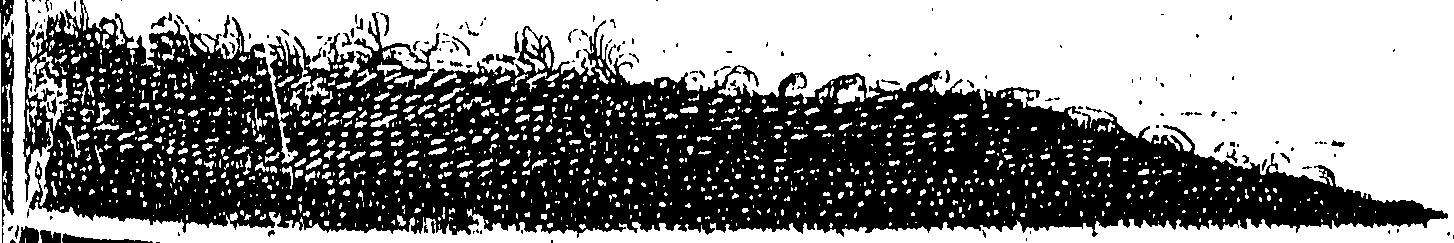 101/101870010002800_0.png