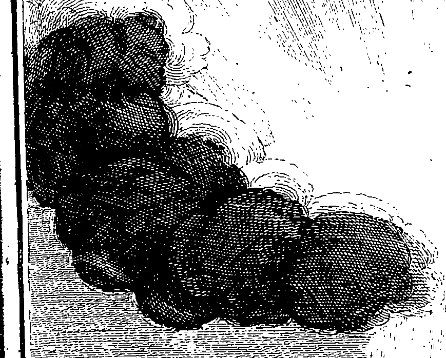 101/101870010008730_1.png