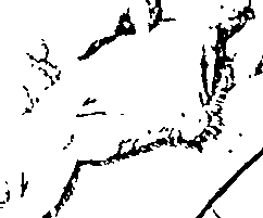 101/101930010000130_1.png