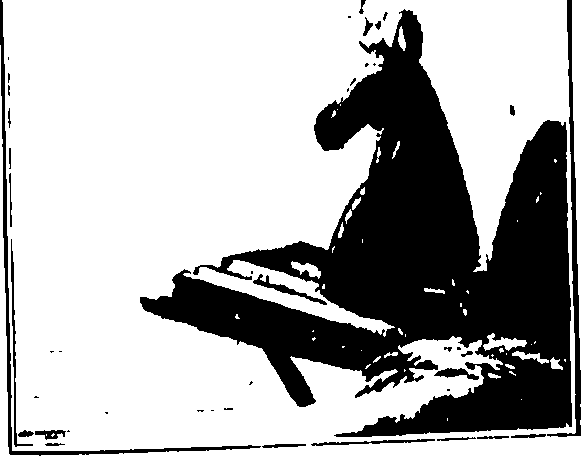 101/101950120002060_0.png