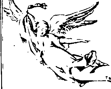 101/101950120002060_1.png