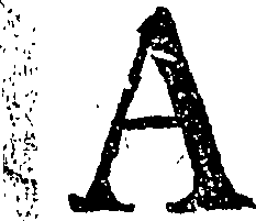 101/101970160000020_0.png