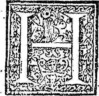 101/101980120000020_0.png
