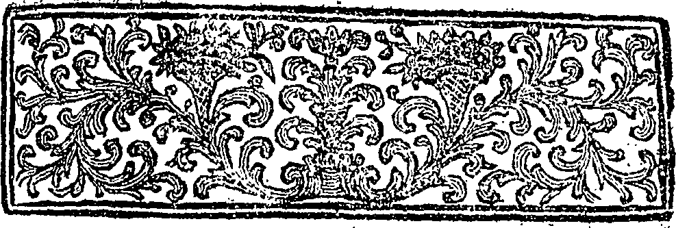 101/101980240000020_0.png