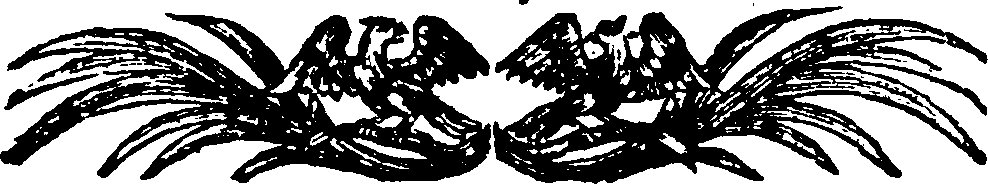 101/101990030000030_0.png