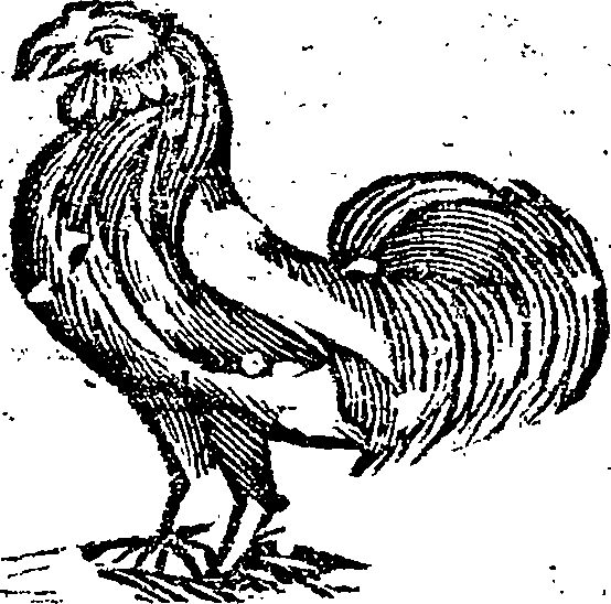 102/102030160000050_0.png