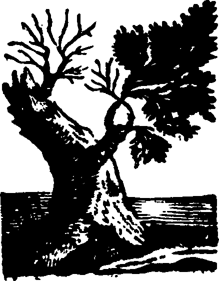 102/102040020000820_0.png