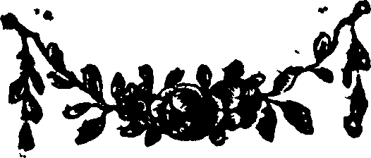 102/102040020001000_0.png