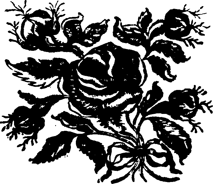 102/102040020002570_0.png