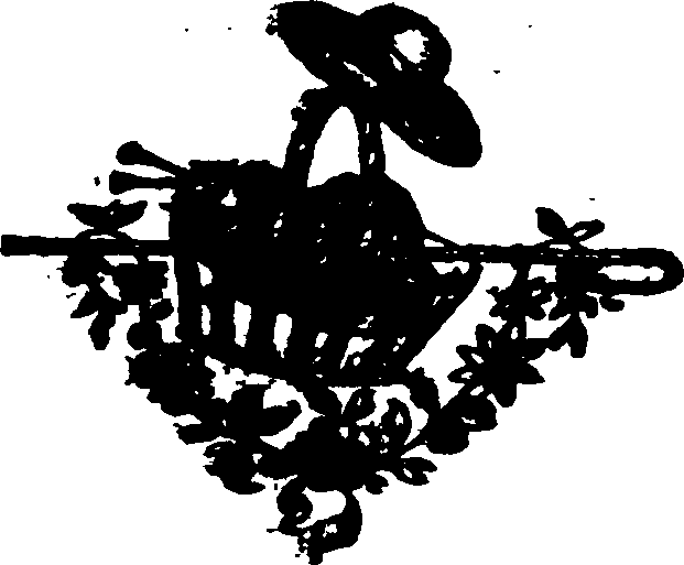 102/102040020002970_0.png