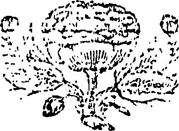 102/102200040004190_0.png