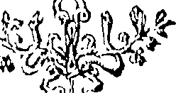 102/102240060001000_0.png
