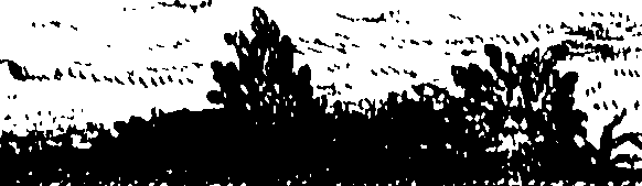 102/102240130001470_0.png