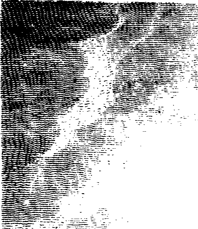 102/102250010001930_1.png