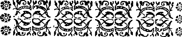 102/102350060000250_0.png