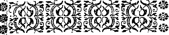 102/102350060000360_1.png