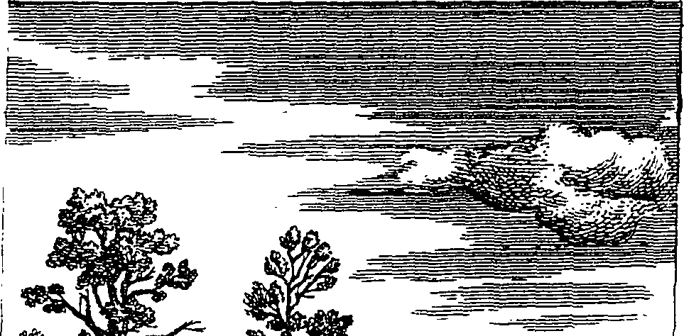 102/102430020102190_0.png