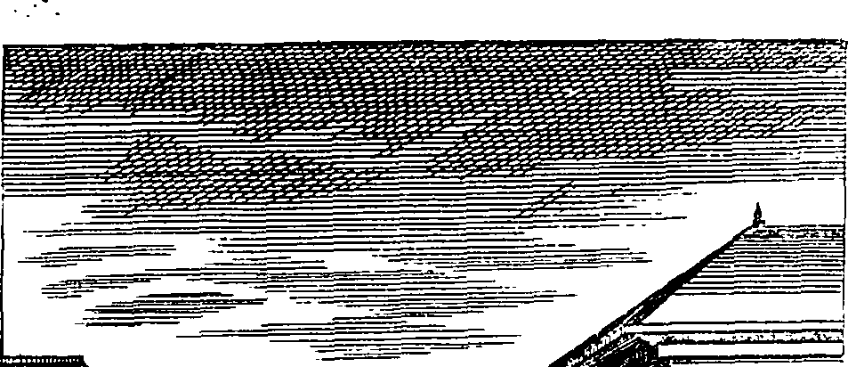 102/102430020300490_0.png