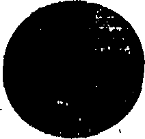 102/102510020000070_0.png