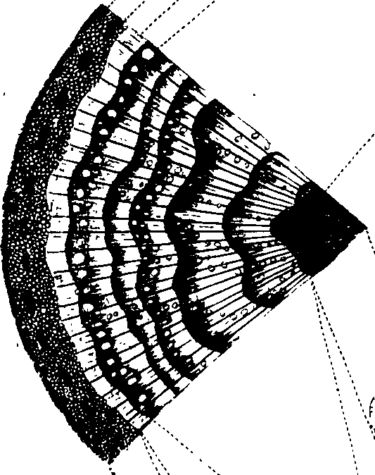 102/102510020000100_0.png