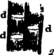 102/102510020000150_0.png