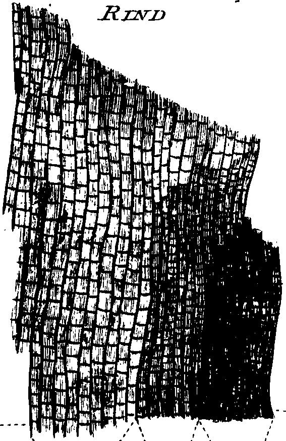 102/102510020000150_1.png