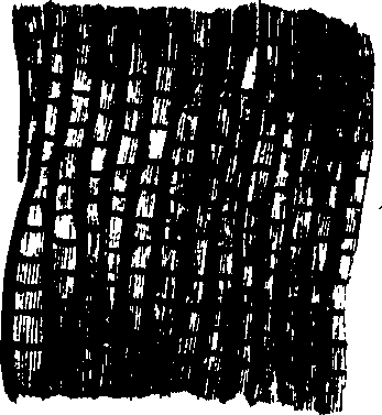 102/102510020000180_1.png