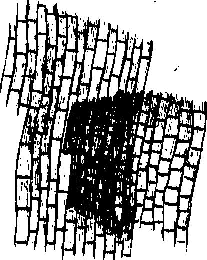 102/102510020000210_0.png